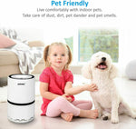 Air Purifier for Home or Office